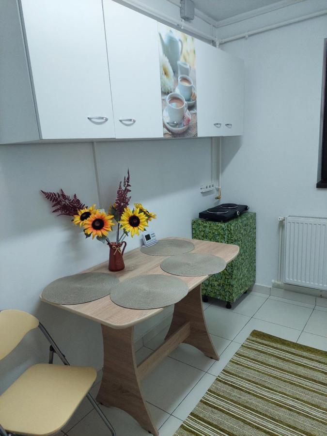 Apartament Octav Deva Extérieur photo